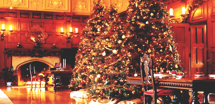 Luxury Christmas Trees